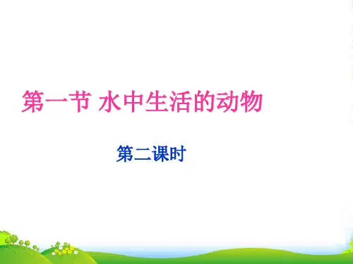 八年级生物上册 第一节水中生活的动物课件 人教新课标