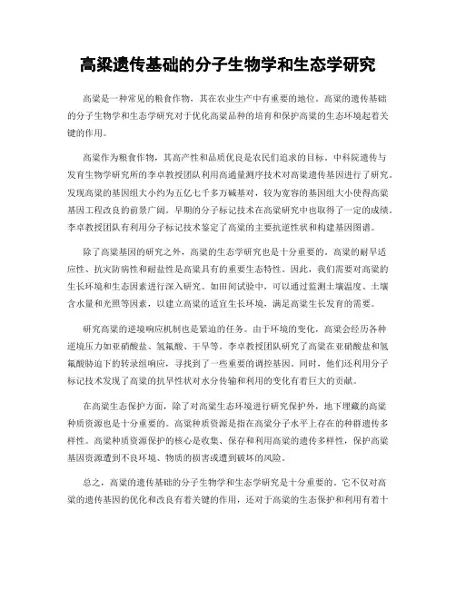 高粱遗传基础的分子生物学和生态学研究