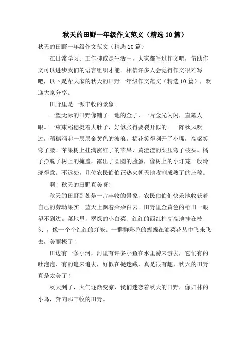 秋天的田野一年级作文范文(10篇)