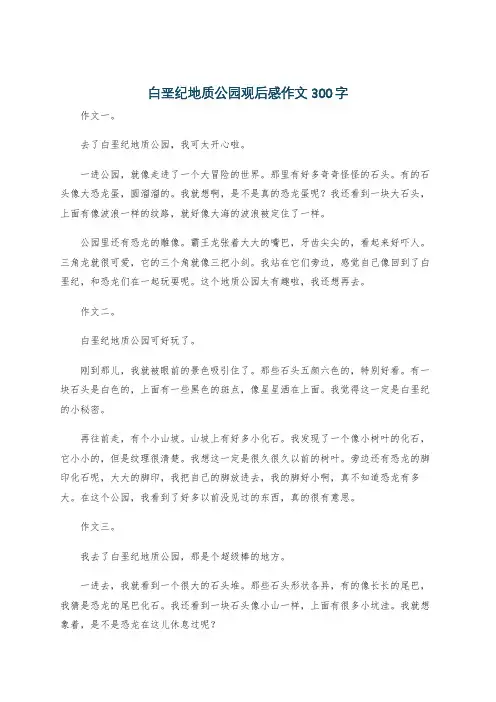 白垩纪地质公园观后感作文300字