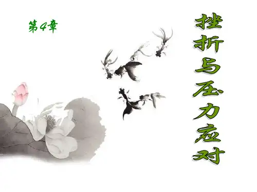 挫折与压力应对 ppt课件