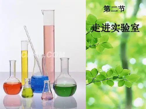 七年级科学上册 第一章 第2节 走进实验室课件浙教级上册自然科学课件