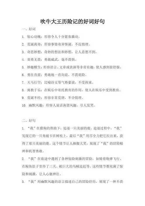 吹牛大王历险记的好词好句