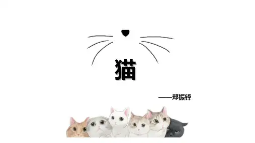 第16课《猫》课件(共24张PPT) 统编版语文七年级上册