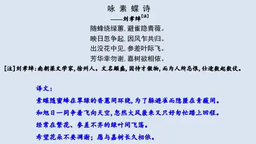 诗歌《咏素蝶诗》——刘孝绰