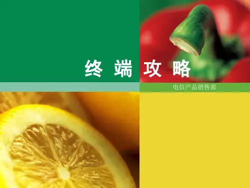 手机销售-终端营销攻略