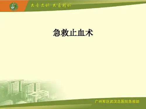 急救止血术PPT课件