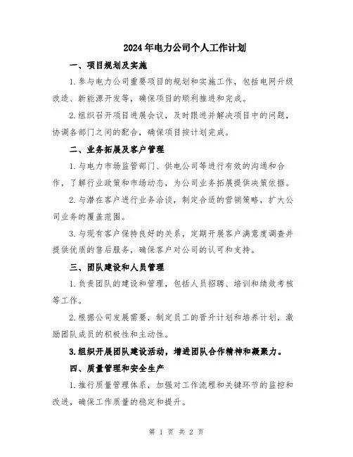2024年电力公司个人工作计划