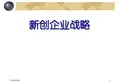 新创企业战略