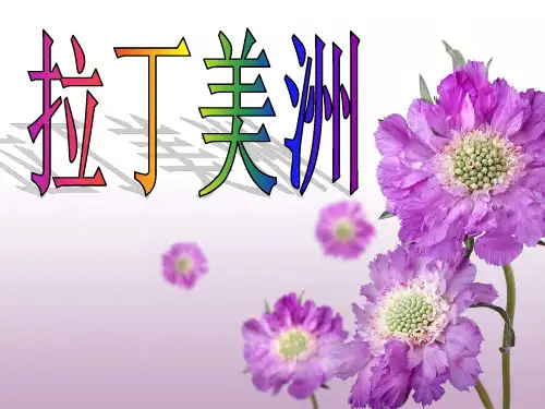 拉丁美洲
