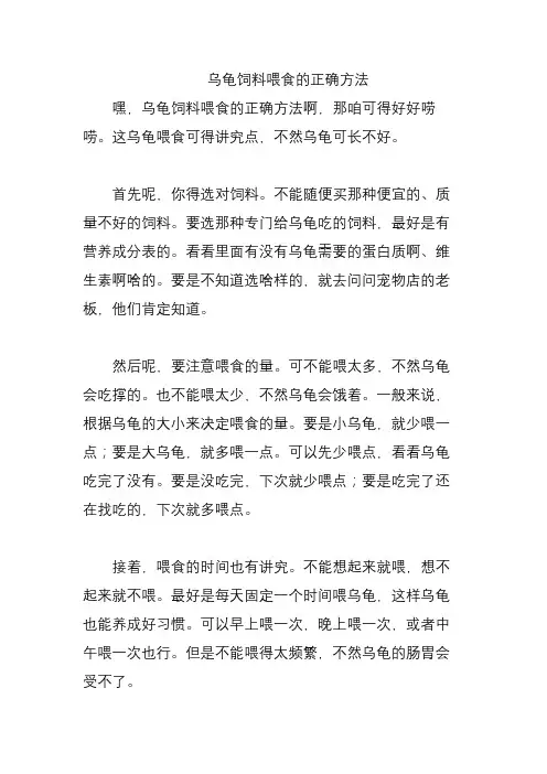 乌龟饲料喂食的正确方法