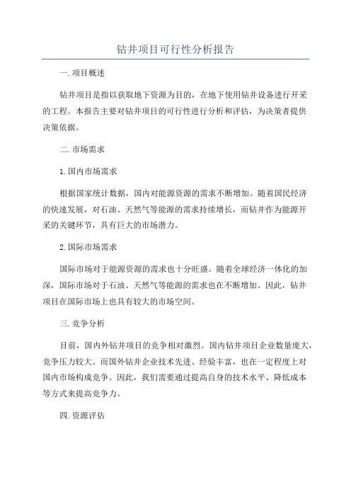 钻井项目可行性分析报告