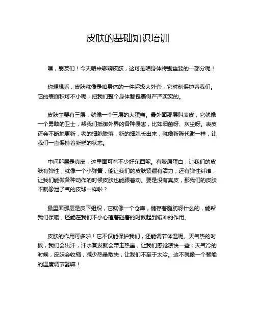 皮肤的基础知识培训