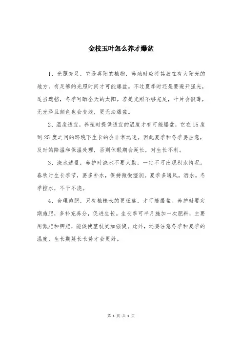金枝玉叶怎么养才爆盆