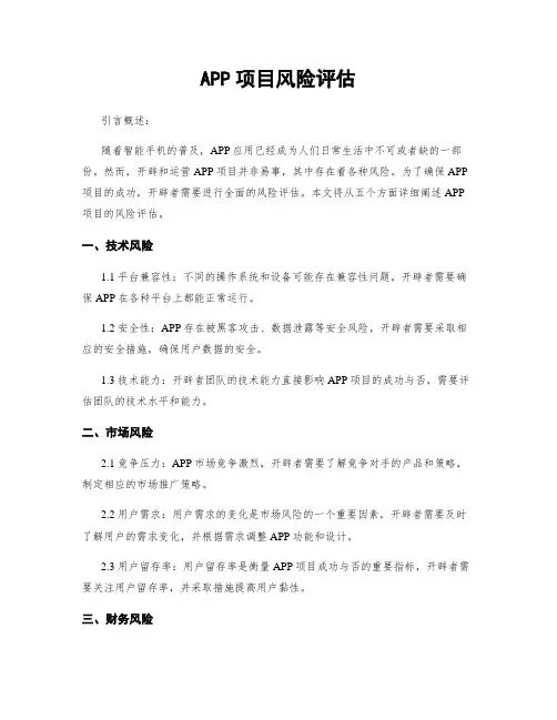 APP项目风险评估