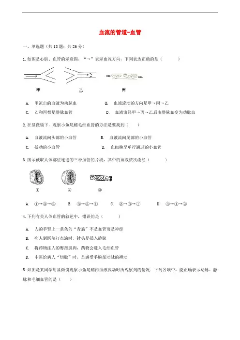 人教版七年级下册生物同步测试卷--血流的管道--血管(含答案解析)