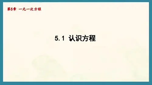 5.1 认识方程(课件)青岛版(2024)数学七年级上册