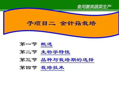 食用菌类种植生产金针菇栽培.ppt