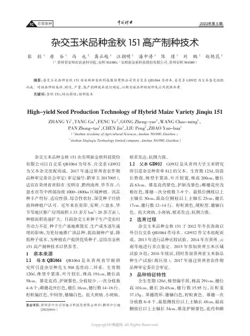 211219937_杂交玉米品种金秋151高产制种技术
