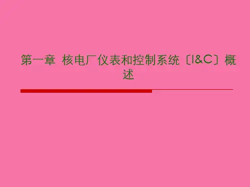 核电厂仪表和控制系统ppt课件