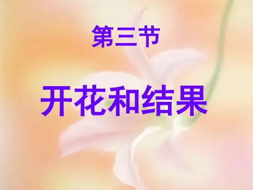 人教版初中生物七上3. 开花和结果 课件