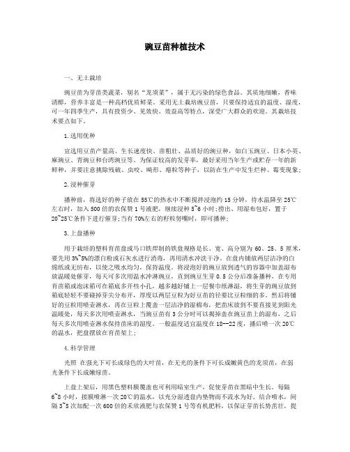 豌豆苗种植技术