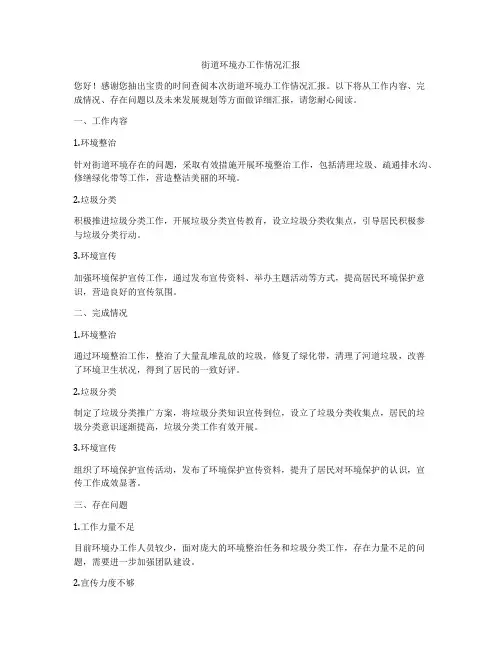 街道环境办工作情况汇报
