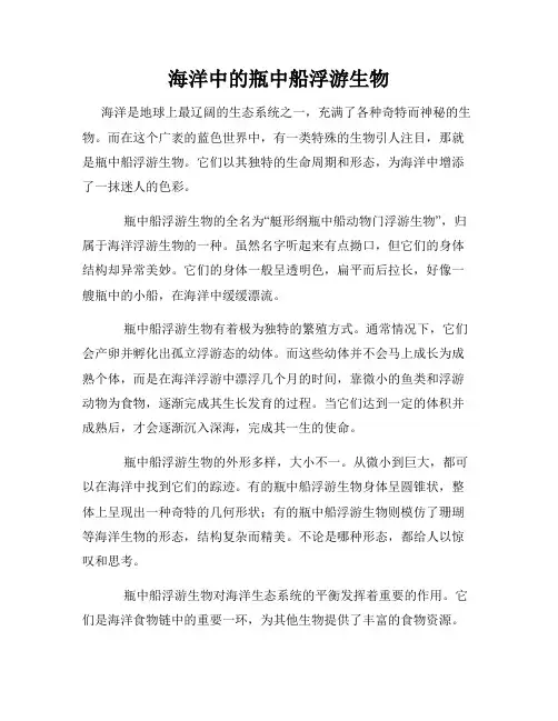 海洋中的瓶中船浮游生物