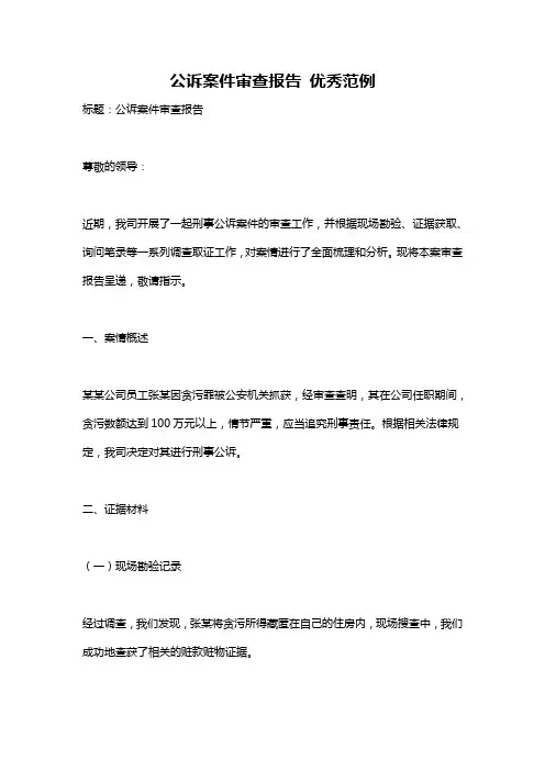 公诉案件审查报告 优秀范例