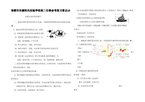 高中生物会考复习知识要点 动物生命活动的调节