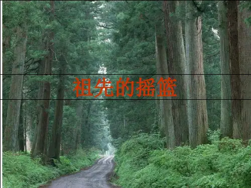 部编版二年级语文《祖先的摇篮》ppt课件(11页)