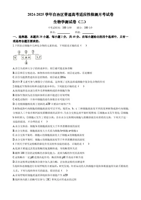 新疆维吾尔自治区部分学校2024-2025学年高三上学期普通高考适应性检测月考生物试卷(含解析)