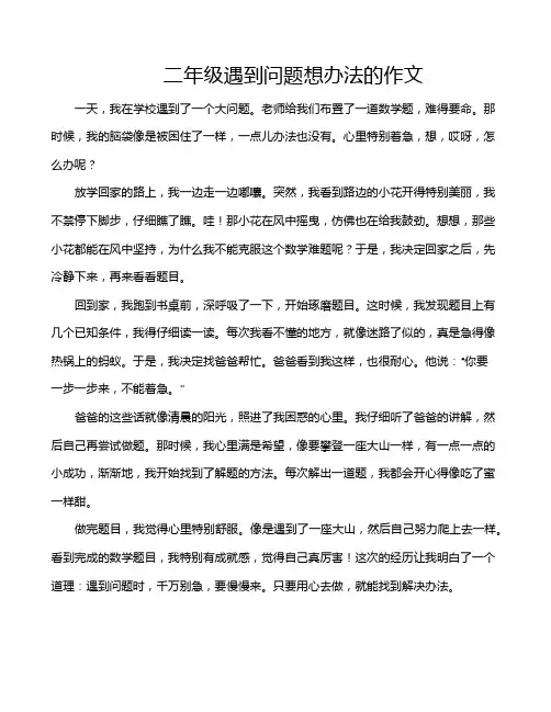 二年级遇到问题想办法的作文