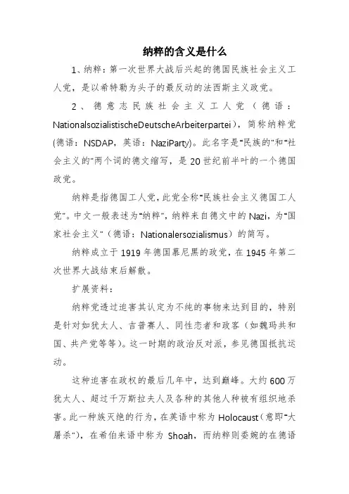 纳粹的含义是什么