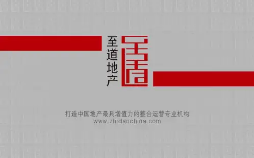 大雁塔南北广场案例091202