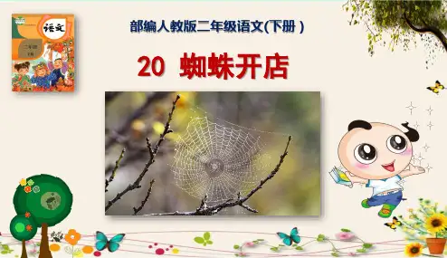 《蜘蛛开店》部编人教版二年级语文(下册)