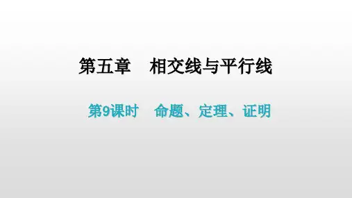 初中数学人教版七年级下册第五章命题、定理、证明课件