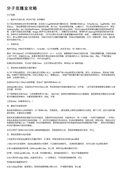 分子克隆全攻略