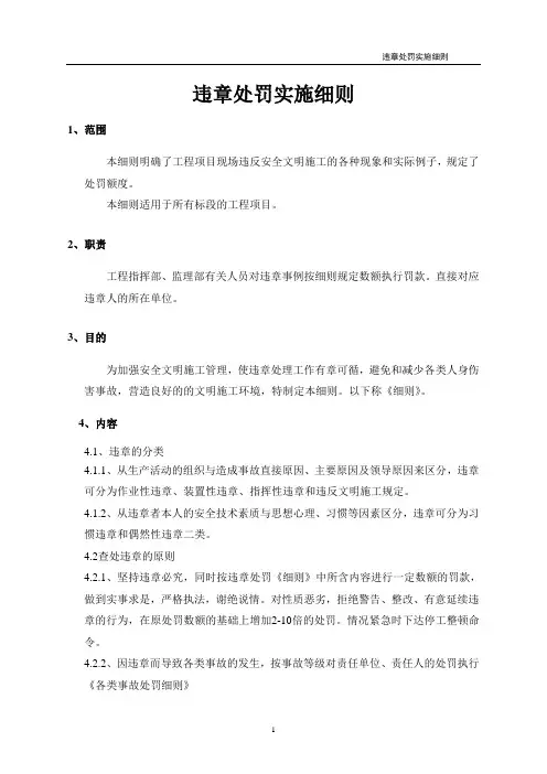 违章处罚实施细则