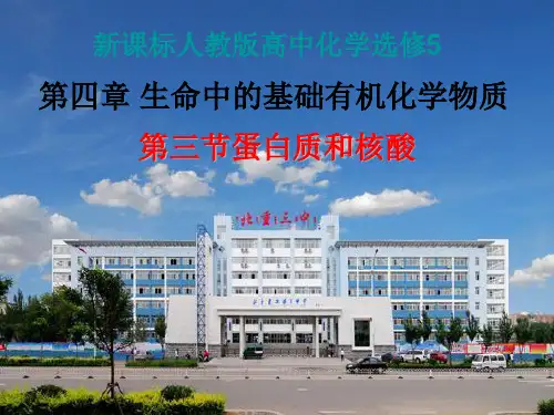 新人教版高中选修化学：蛋白质和核酸PPT完整版