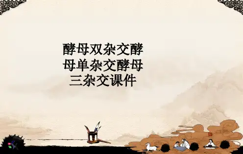酵母双杂交酵母单杂交酵母三杂交ppt课件