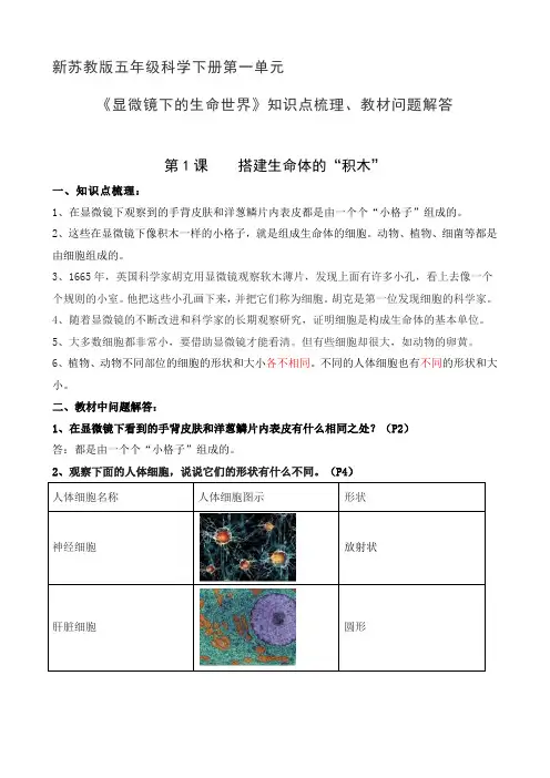 新苏教版五年级科学下册第一单元《显微镜下的生命世界》知识点梳理、教材问题解答