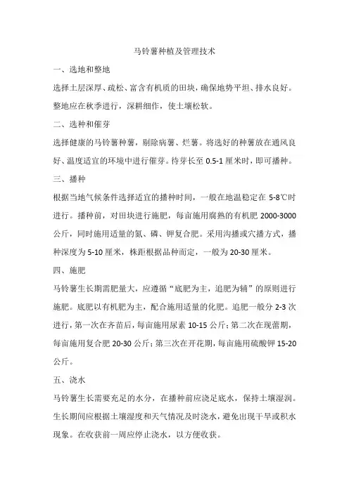 马铃薯种植及管理技术