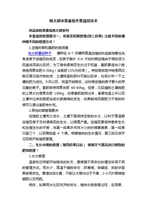 桃太郎水果番茄冬春栽培技术