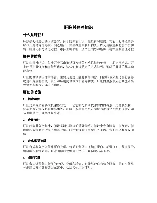 肝脏 科普冷知识