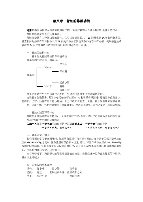 肾脏的排泄功能