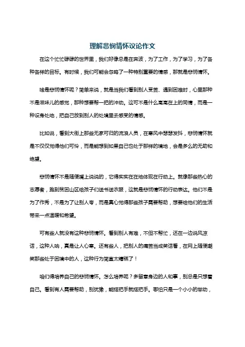 理解悲悯情怀议论作文