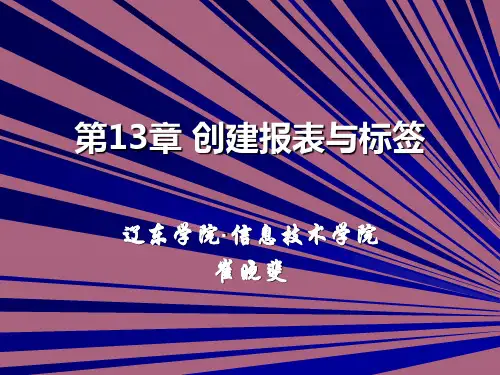 创建报表和标签ppt课件