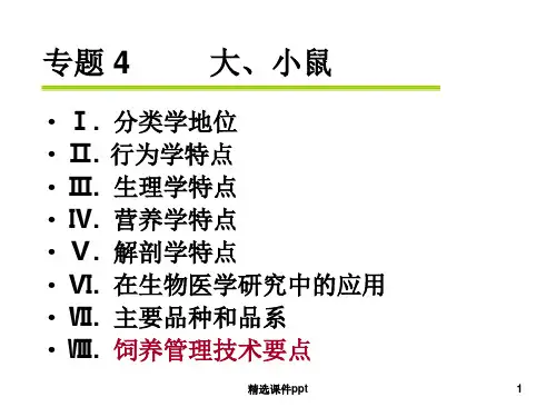 大小鼠解剖生理特点