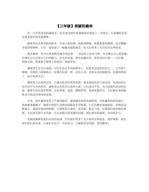 【三年级】美丽的森林